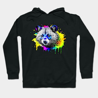 Binturong Stare | Color Splash Hoodie